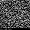 球形钛粉SEM1